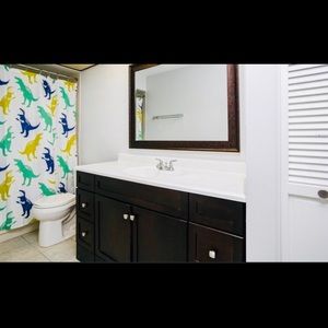 Dinosaur shower curtain